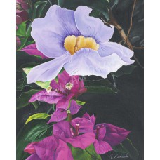 Bougainvillea and Blue – Tropical Floral Fine Art Print by Karen A. Kubacki