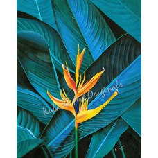 Contrasting Companions – Tropical Bird of Paradise Fine Art Print by Karen A. Kubacki