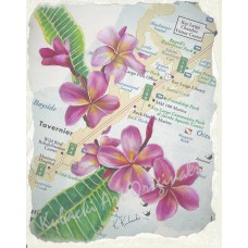 13 Mile Frangipani – Key Largo Florida Keys Map Art Print