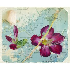 Largo Rose – Key Largo Florida Keys Hibiscus Map Art Print