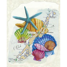 Marathon Beach Fun – Marathon Florida Keys Seashell Map Art Print
