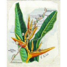 Yellow Matecumbe Bird of Paradise – Florida Keys Botanical Map Fine Art Print