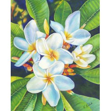 Pigment of My Imagination – Blue Plumeria (Frangipani) Fine Art Print by Karen A. Kubacki