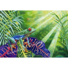 Red Eyed Contemplation – Red-Eyed Tree Frog Tropical Fine Art Print by Karen A. Kubacki
