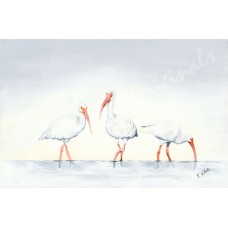 Seamless Serenity – Coastal Shorebird Fine Art Print by Karen A. Kubacki