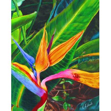 That Bird from Paradise – Bird of Paradise Tropical Fine Art Print by Karen A. Kubacki